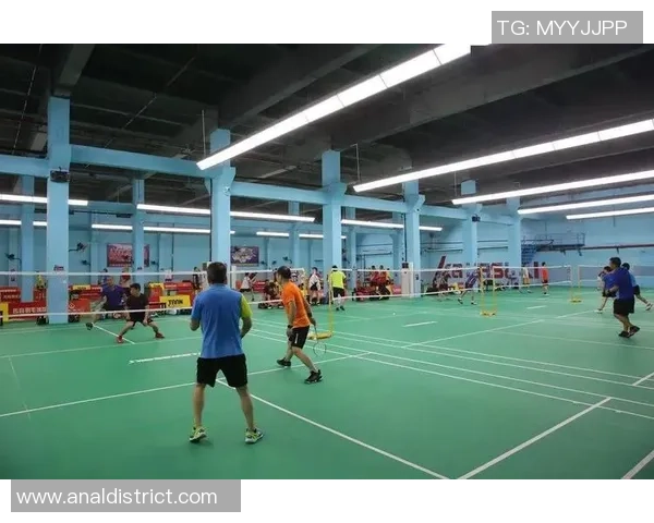 羽毛球场上的传奇旅程：刘军的奋斗与梦想分享